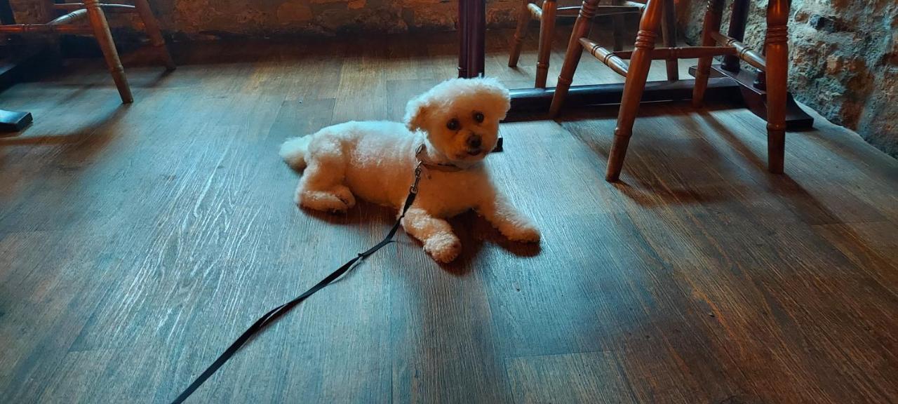 The White Horse Inn ヨーク エクステリア 写真
